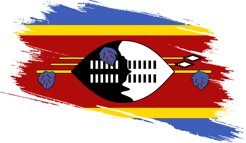 Transform Eswatini logo